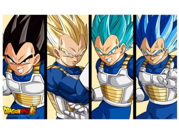 Cuadros PVC Dragon Ball Super Vegeta