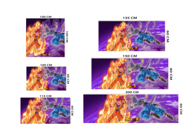 Cuadros PVC Dragon Ball Super Goku vs Beerus