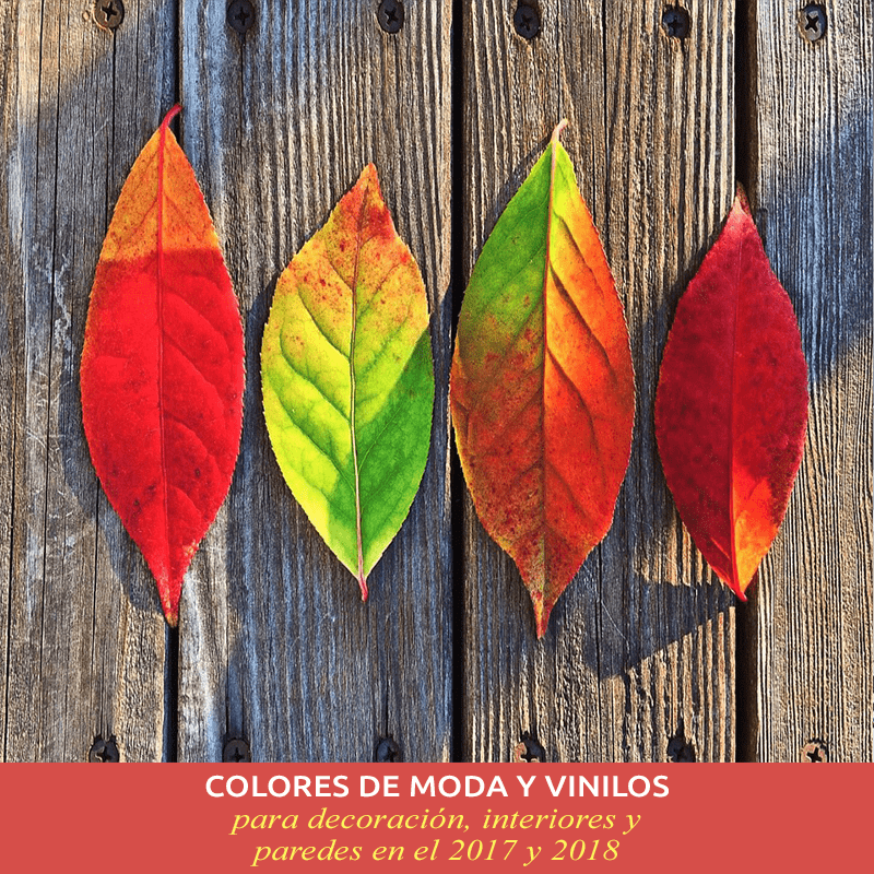 Colores de moda