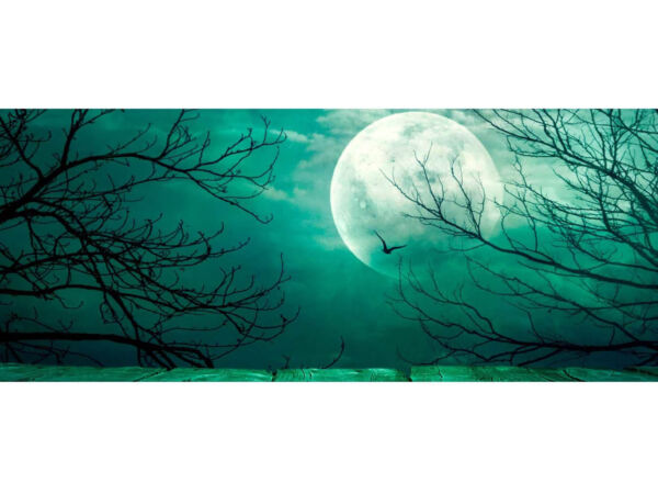 Cabecero Cama PVC Spooky Bosque con Luna Llena