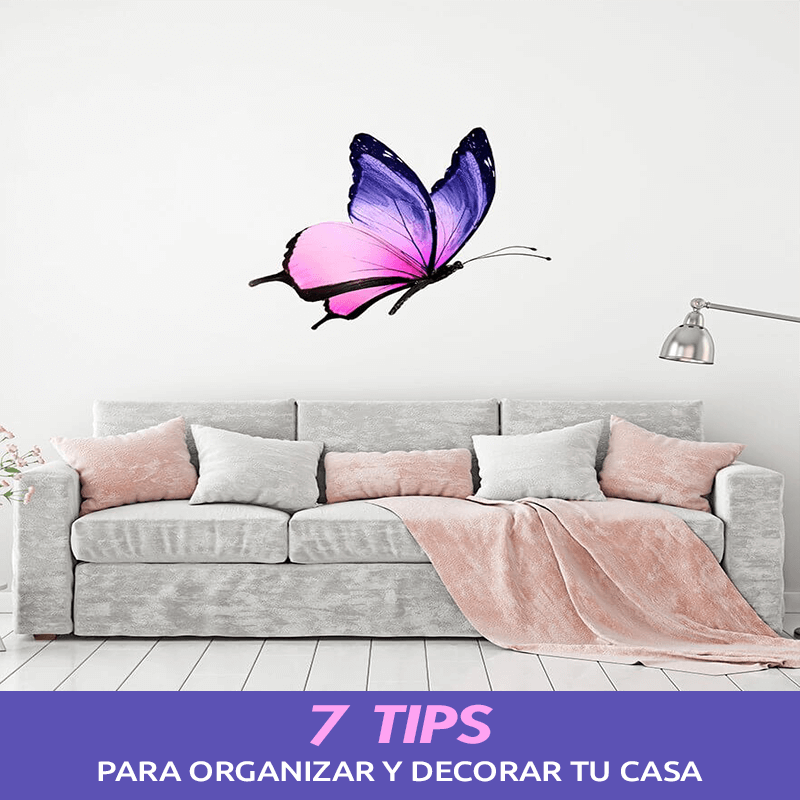 Organizar y Decorar