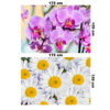 Pack 2 Póster Orquídeas y Margaritas
