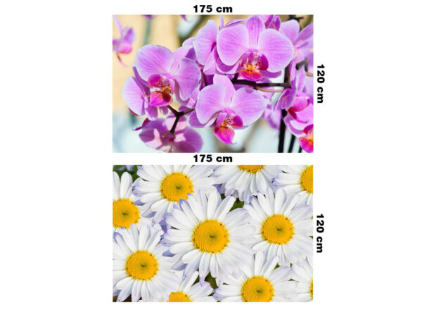 Pack 2 Póster Orquídeas y Margaritas