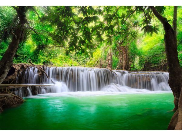 Póster Cascada en el Bosque y Barca