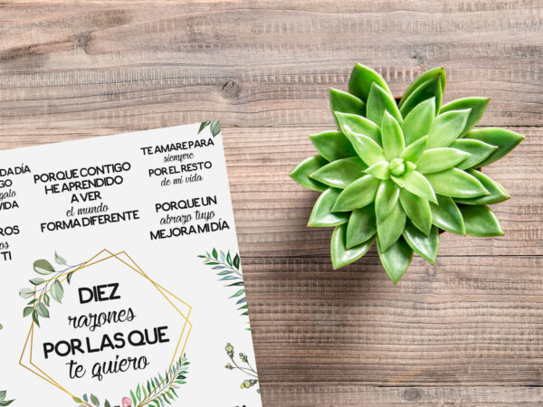 Placa Metacrilato 10 Razones Personalizada