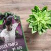 Carta de Fútbol Metamorfo